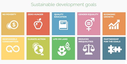 Some of the UN SDGs that Treedom helps deliver