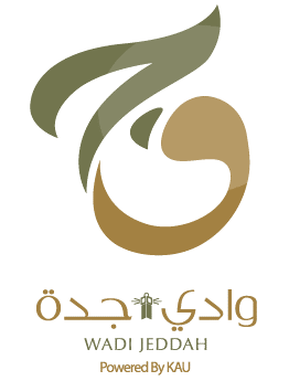 2024_06_04_Saudi Arabai_Wadi Jeddah
