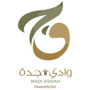 2024_06_04_Saudi Arabai_Wadi Jeddah