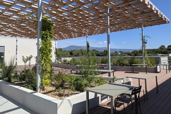 ALPHA rooftop