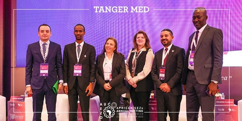 Panellists at the 2023 African SEZs Annual Meeting