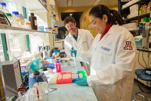 Lab technicians at the Center for Innovation.