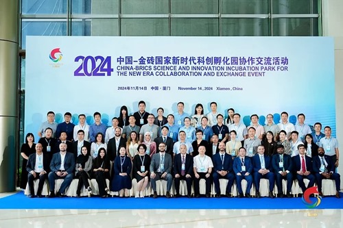 BRICS Science, Technology, and Innovation (STI) Incubation Network International Advisory Committee