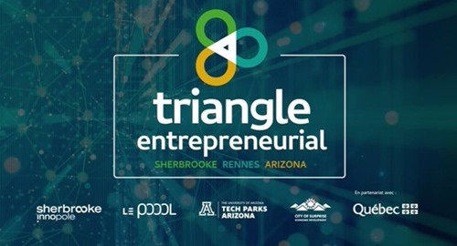 Entrepreneurial Triangle