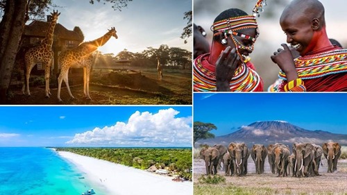 Make the most of your stay in Nairobi -  enjoy day tours or embark on an adventurous safari!