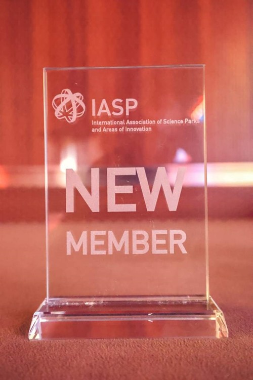 New Member trophy 2025