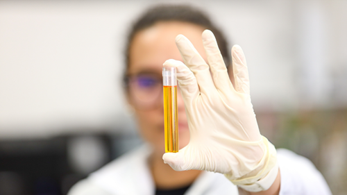 Amazon Oil Laboratory at PCT Guama
