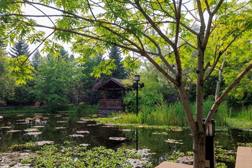 R+T Park Saskatoon Boffins Garden Park