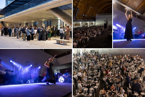 Flamenco and international conversation at the Navigation Pavilion