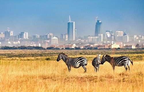 The city skyline from Nairobi National Park
