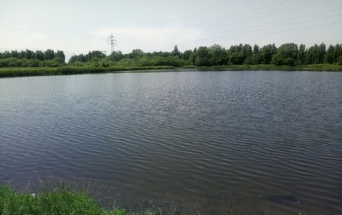 The lagoon after restoration