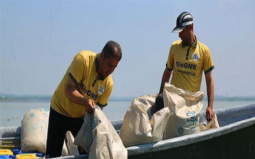 Working to restore the wetland