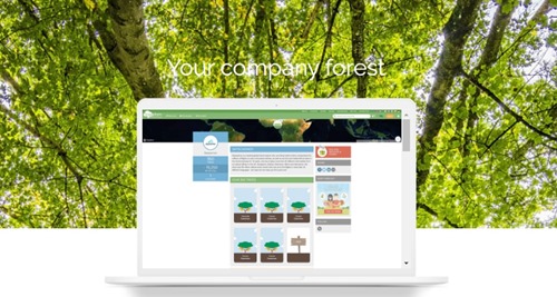 Your company forest