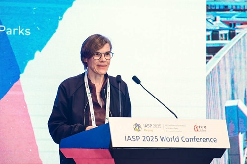 IASP European Division President, Agnes von Matuschka