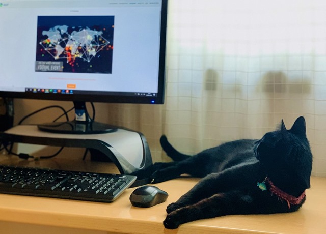 EVGIWg6XYAM0b4g