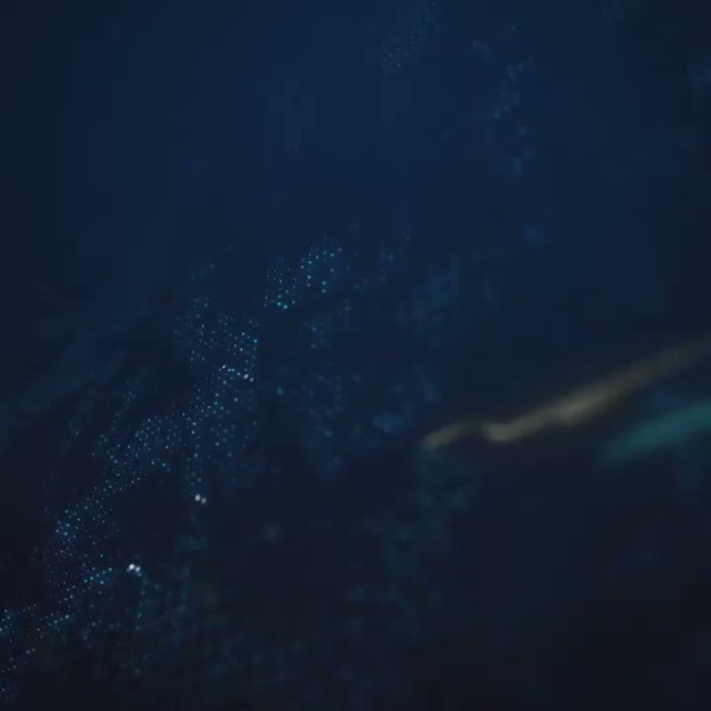 trtf2XkdTB9oKhD1